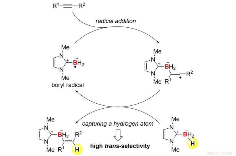 Novel Hydroboration of Alkynes: Radical-Driven Trans‑Selectivity via N‑Heterocyclic Carbene Boranes
