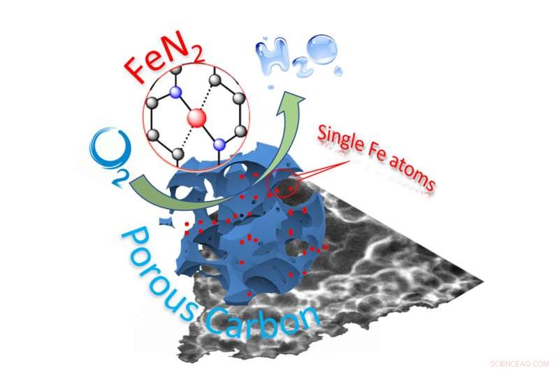 New Low-Cost Single-Atom Catalyst Promises Affordable Fuel Cells