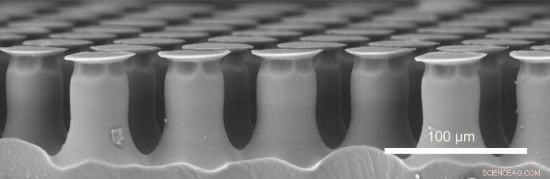 Researchers Enhance Silicone Adhesion Using Beetle-Inspired Microstructures