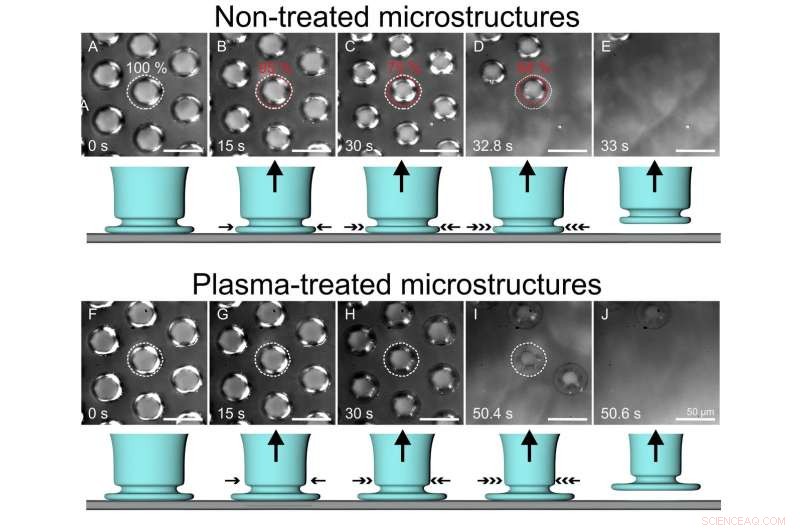 Researchers Enhance Silicone Adhesion Using Beetle-Inspired Microstructures