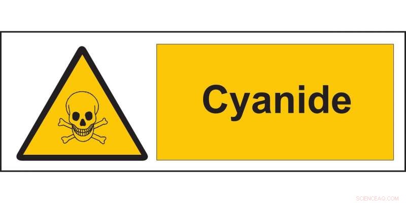 Kaunas University Scientists Develop Rapid Cyanide Detection Material