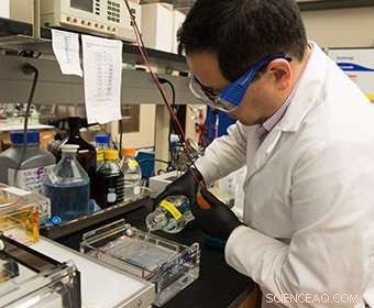 UTSA Chemists Announce Breakthrough Fluorine Discovery Revolutionizing Drug Development