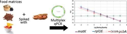 DNA-Based Test Detects Trace Peanut Contamination in Food Products