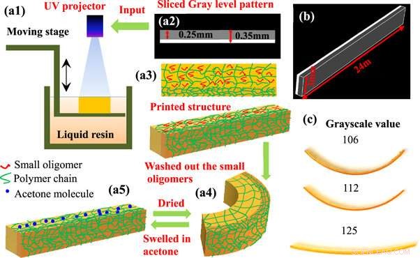 Light‑Patterned 4D Printing: Reversible Shape‑Changing Materials