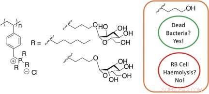 Hydrophilic Phosphonium Polymers Show Unexpected Antibacterial Efficacy and Selectivity