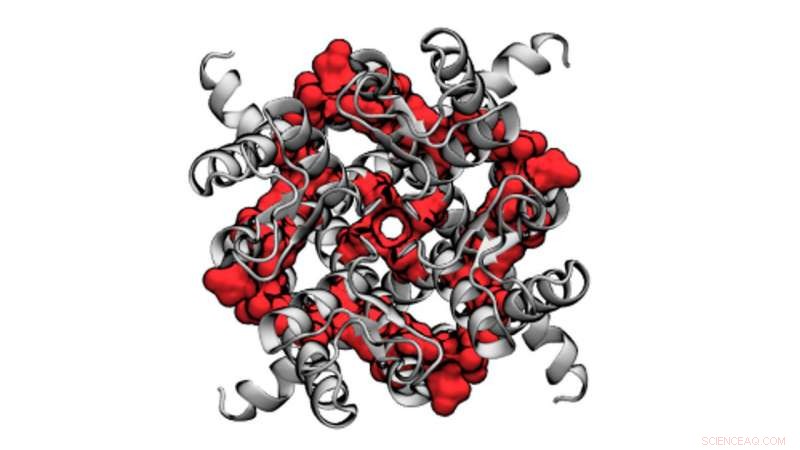 How Elevated Cholesterol Alters Heart Ion Channels: Insights from a Computer Model