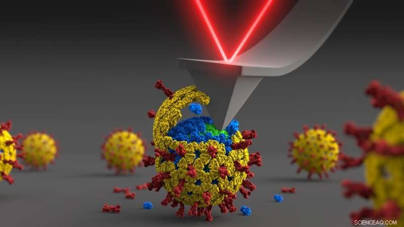 Advances in Rotavirus Mechanics Offer Promising Pathways for Better Treatments