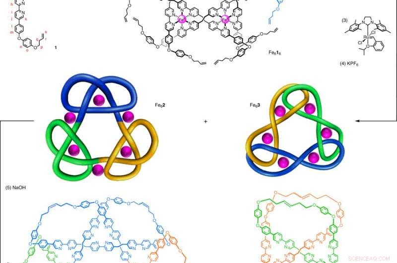 Scientists Achieve Record‑Breaking Interlocked Molecule with 12 Components