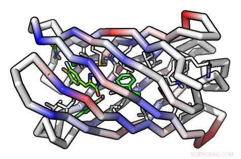 Scientists Design First Fully Synthetic Fluorescence-Activating Beta-Barrel Protein
