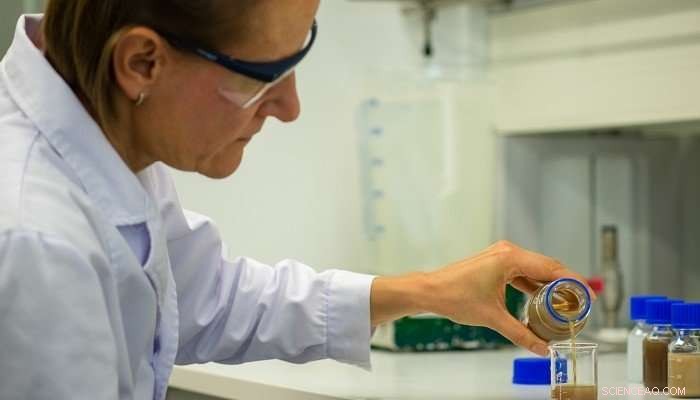 Lignin: A Sustainable Alternative to Fossil-Based Materials