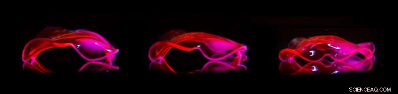 Innovative Hydrogel Mimics Complex, Life‑Like Movements