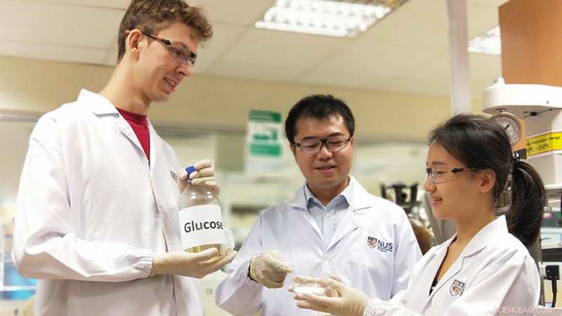 Scientists Develop Rapid, Cost‑Effective, Eco‑Friendly Amino Acid Production from Plant Waste