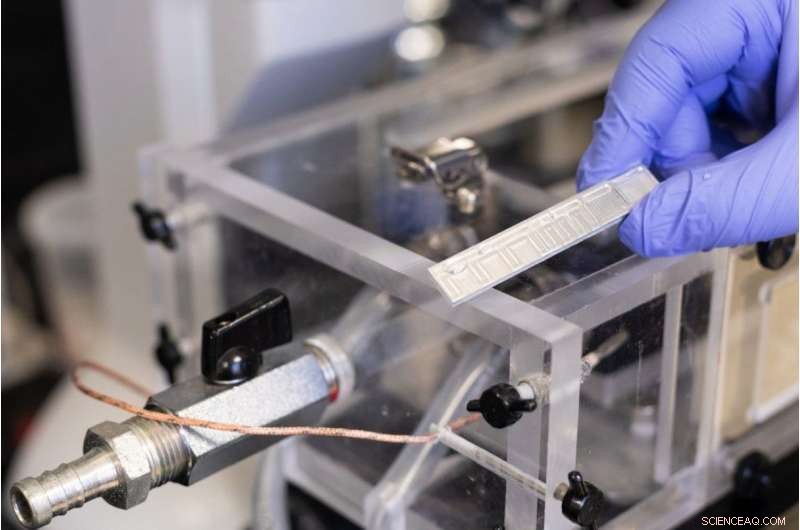 World s First Passive Anti‑Frosting Surface Uses Ice to Combat Ice