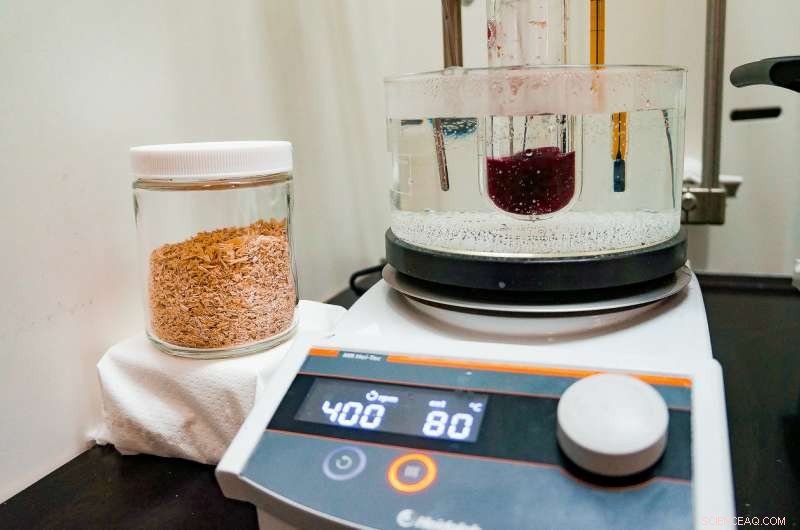 New Technique Doubles Plant-Derived Sugar Yields, Boosting Biofuel Potential