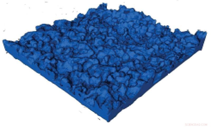 3‑D Electron Microscopy Reveals the Intricate Architecture of Desalination Membranes