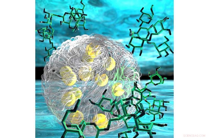 Synthetic Organelle Reveals How Tiny Cellular Puddles Function