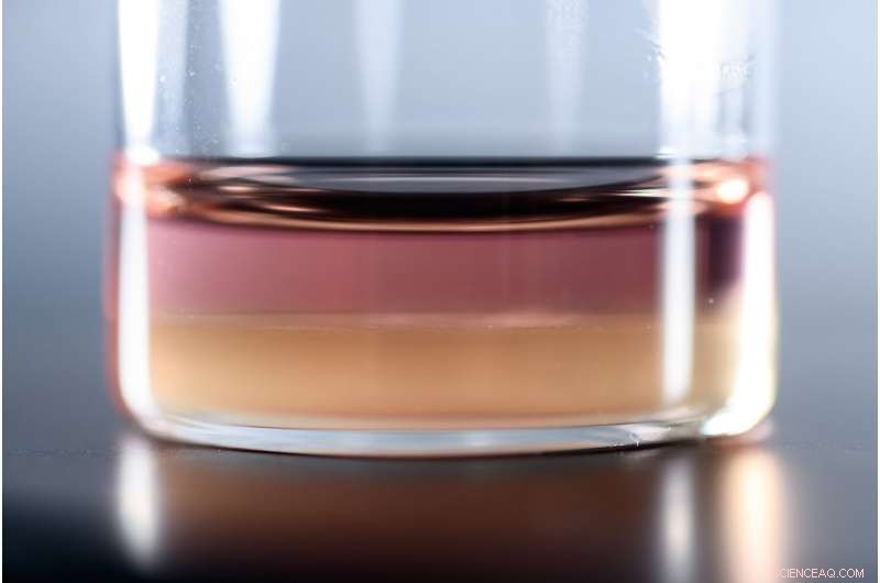 Synthetic Organelle Reveals How Tiny Cellular Puddles Function