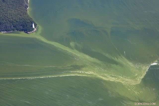 Smartphone Technology Could Enhance Prediction and Management of Harmful Algal Blooms