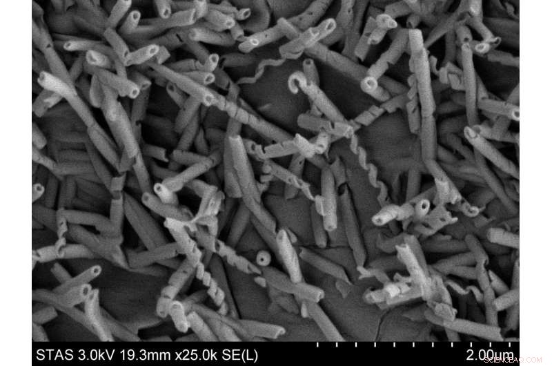 Innovative Bio‑Inspired Surfaces Disrupt Insect Adhesion, Unveiling Unexpected Slippage