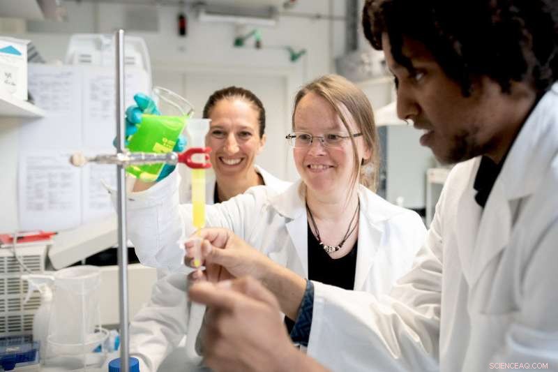 Unveiling the Structure of a Potent Viral Protein: New Scientific Insights