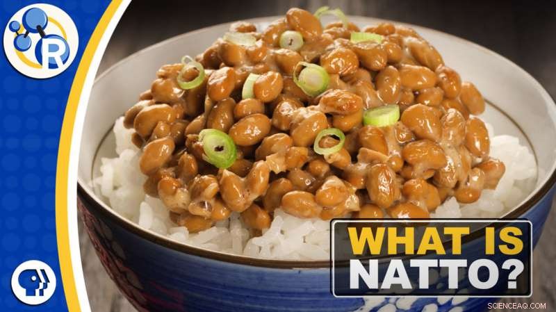 Discover Natto: Japan s Fermented Soybean Delicacy – The Truth Behind Its Aroma and Texture