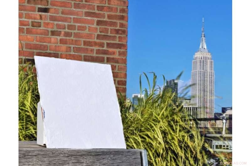 Revolutionary Polymer Coating Drastically Lowers Building Temperatures