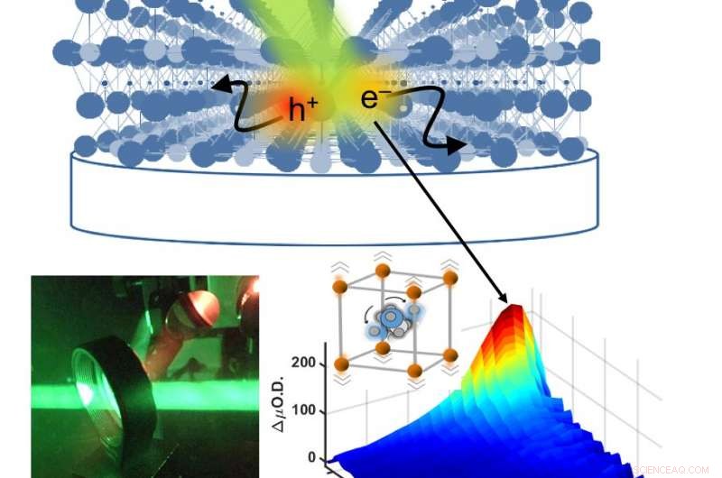 Unlocking High‑Efficiency Photovoltaics through Atomic Motion in Halide Perovskites