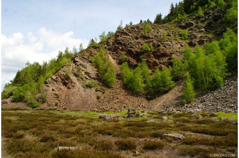 Rare Metals Hidden in Discarded Waste: A New Treasure Trove