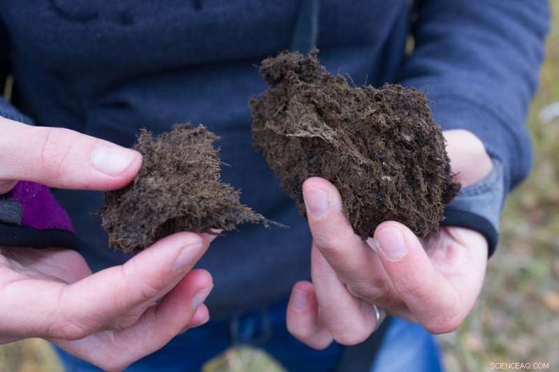 Automated Pyrolysis: Harnessing Biofuel for Reliable Heat Generation