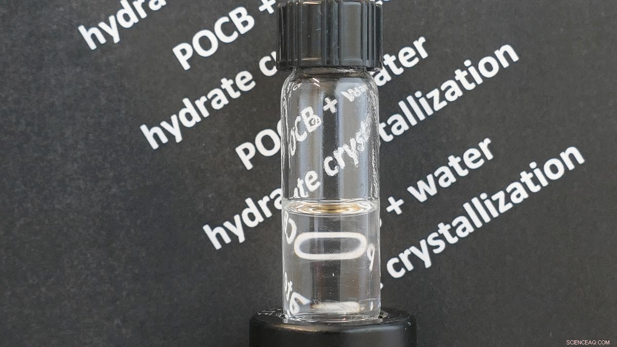 Scientists Investigate Room‑Temperature Freezing Polymer Inspired by Vonnegut s Ice‑Nine