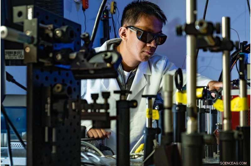 Rice University Unveils Plasmonic Catalyst That Lowers Energy Requirements