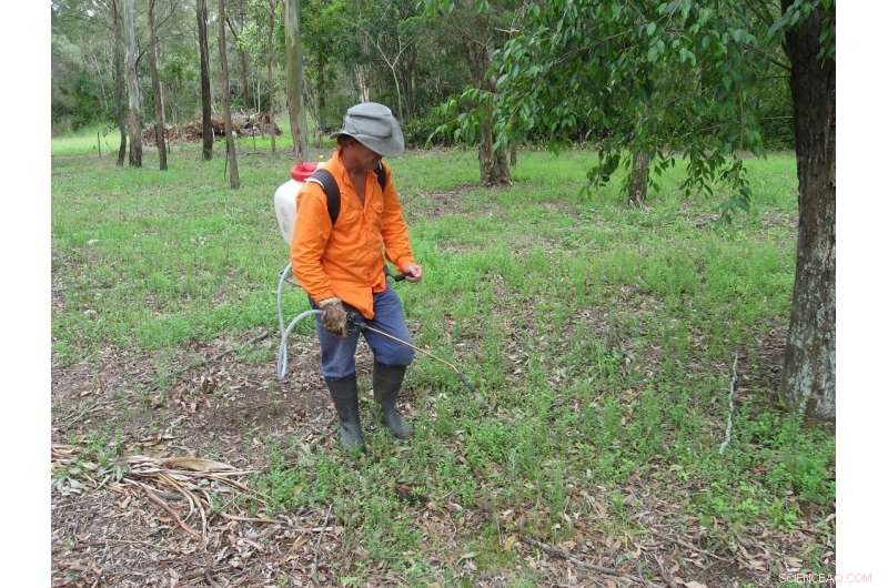 Common Herbicide Compound Shows Promise Against Hospital-Acquired Fungal Infections