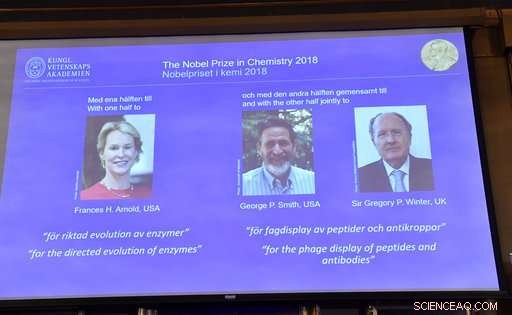 Chemistry Nobel Awarded for Evolutionary Design of Novel Proteins