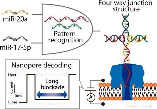 Fast, Accurate Detection of Lung Cancer microRNA Patterns Using Nanopore DNA Computing