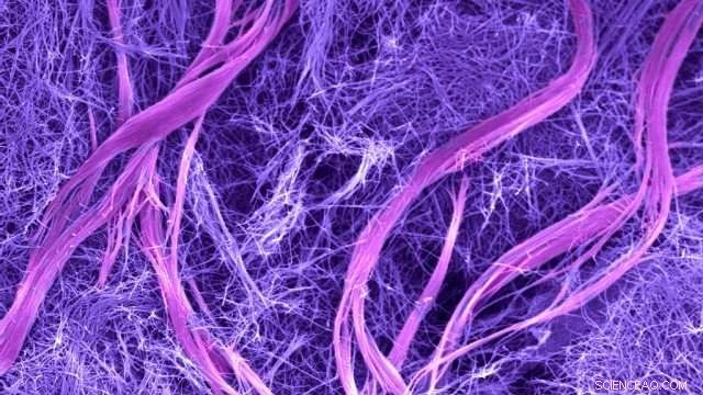 Self-Transforming Bio-Inspired Materials: A Breakthrough in Dynamic Design