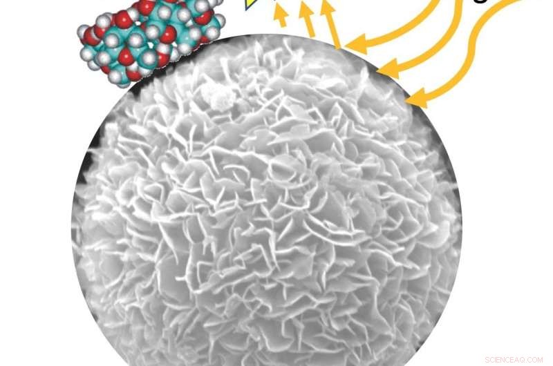 Reusable Titanium Dioxide Particles Efficiently Remove BPA from Water