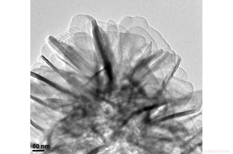 Reusable Titanium Dioxide Particles Efficiently Remove BPA from Water