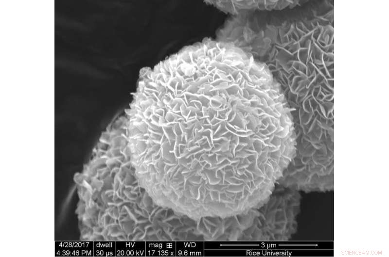 Reusable Titanium Dioxide Particles Efficiently Remove BPA from Water