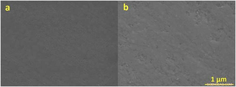 How NMR Reveals the Mechanism of Simple Electropolymerized Polymer Catalysts