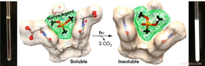 Molecular Baskets: A New Frontier in Neutralizing Nerve Agents and Toxic Compounds