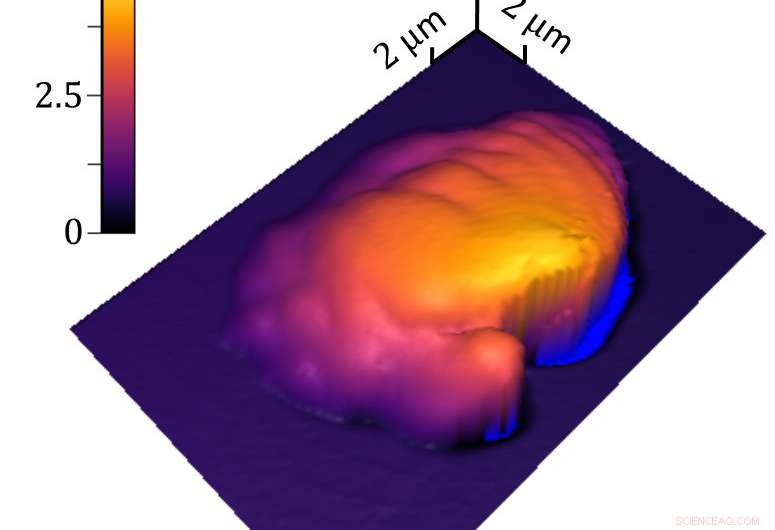 Precise 3‑D Polymer Processing Measurement Achieved with Novel SCRPR Technique
