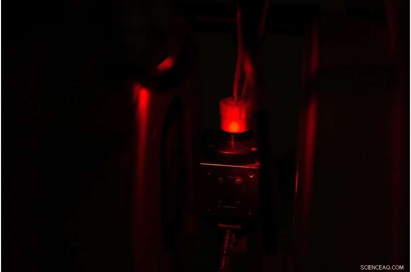 Unveiling the Diverse Structures of Light-Responsive Biomolecules