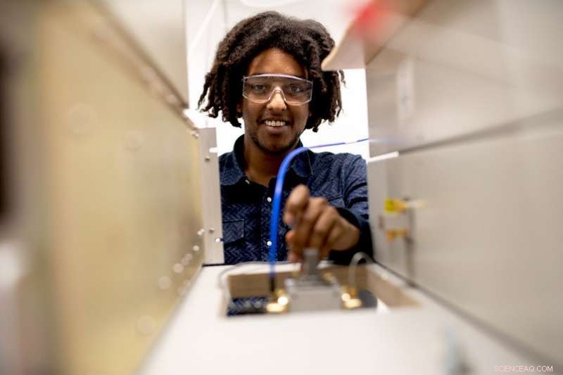 Unveiling the Diverse Structures of Light-Responsive Biomolecules