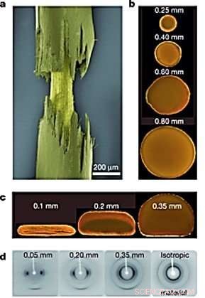 Advanced 3D Printing of Hierarchical Liquid Crystal Polymer Structures