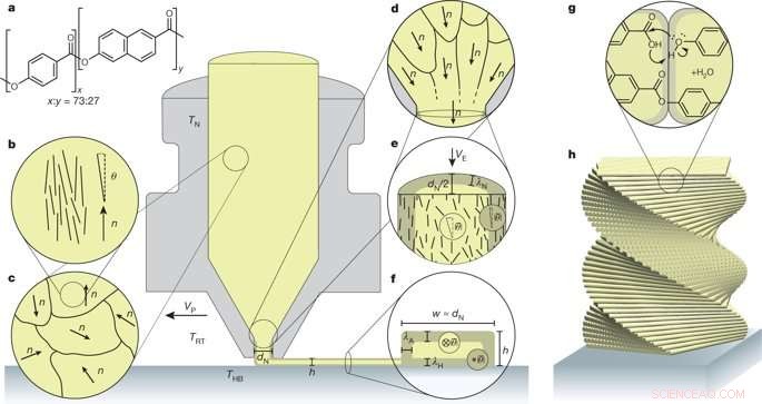 Advanced 3D Printing of Hierarchical Liquid Crystal Polymer Structures