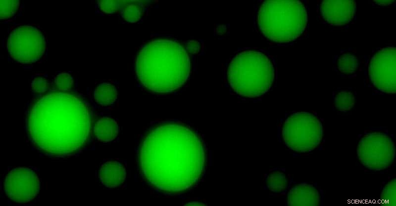 Life’s Origins: How Membraneless Protocells Sparked Life