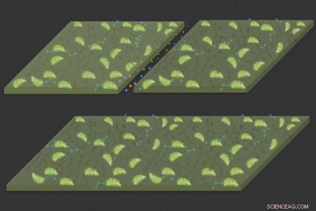 MIT s Self-Healing Hydrogel Uses Atmospheric CO2 for Autonomous Repair