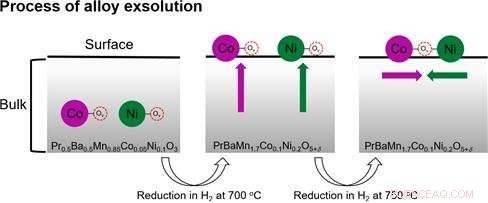 UNIST Breakthrough: Self-Assembled Catalyst Boosts SOFC Performance