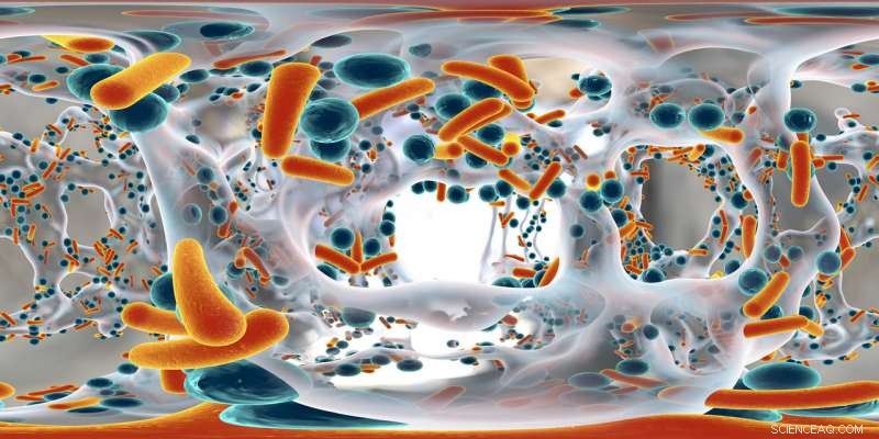 Scientists Battle Biofilm Infections: New Strategies Against Resistant Bacteria