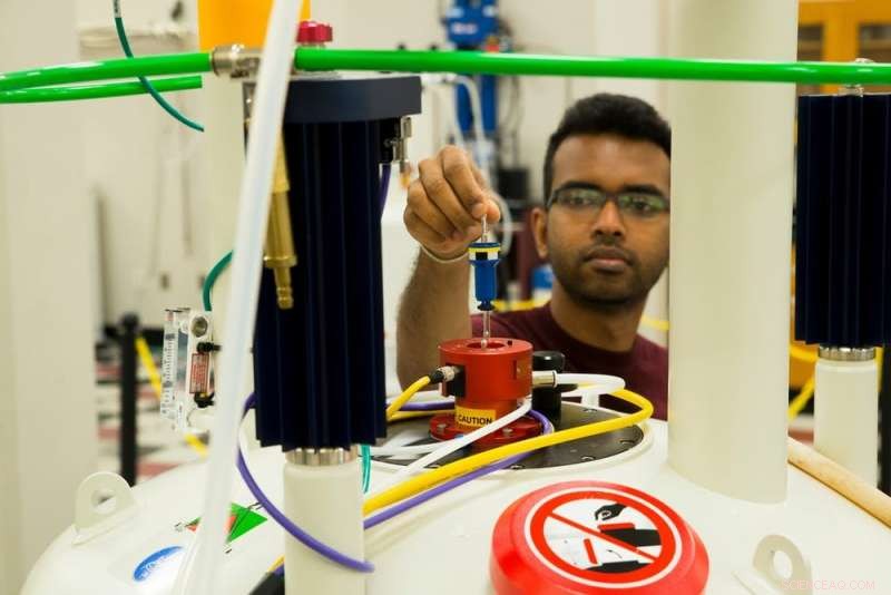 Scientists Battle Biofilm Infections: New Strategies Against Resistant Bacteria